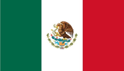 2024年墨西哥聯邦選舉 Elecciones federales de México de 2024